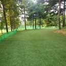 수지아르피아 이미지