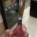 정오양헤어비스 이미지