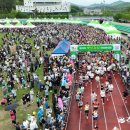 보성체육공원운동장 이미지