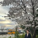 서수김밥 | [한달log] 4월 기록 (1) ※역대급사진 주의※