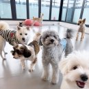 칠곡유치원 이미지