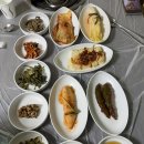 [강원 정선] 하이원 스키장 리조트 근처 오리백숙 맛집을 찾아서... | 고한산골닭집