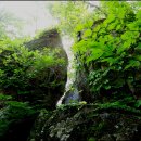 낙동농장 이미지