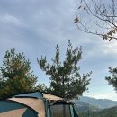 예손농원캠핑장 이미지