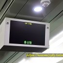 수원-1293 이미지