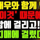 새우요리와 새우와 궁합이 잘 맞는 음식 새우 영양 효능 이미지