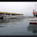 주문진항 이미지