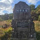탐라공인중개사사무소 | 더쎈부동산, 제주영어교육도시 늦가을 휴일보내기