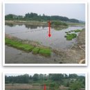 천안여상로 이미지