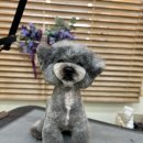 몽글댕글 이미지