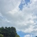 정산면사무소 | 칠갑산 천장호 등산코스 다녀왔습니다 산림청 블랙야크 100대명산 25/9