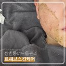 그린필스킨케어 - 양산시 삼호로 96 | 쌍촌동 여드름관리 르헤브 스킨케어 슈렉필 후기