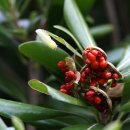 하영올레 1코스 이미지