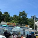 오도리 | 포항 스노쿨링 명소 포인트 스팟 바다 오도리해수욕장 당일치기 후기