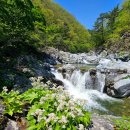 신나는 날 이미지