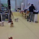 착한개조아 이미지