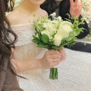 블루밍 플라워 앤 가든 | 부케순이 후기｜군산 하바리움 부케기프트 결혼 신혼집 집들이 선물 추천 군산 블루밍 플라워앤가든