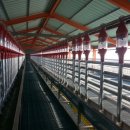 슈퍼염소농장 이미지