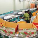 예천군농산물산지유통센터 이미지