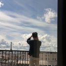 [유럽신혼여행] Day3 (1) - 파리 풀만호텔 조식, 쁘렝땅 백화점 셀린느 쇼핑, 파리맛집
