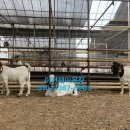 제이목장 이미지