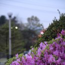 리버타운사우나 이미지