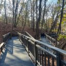 토리근린공원 이미지