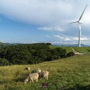 양대목장 이미지