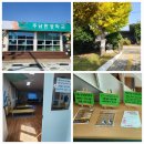 주남저수지 단풍나무화장실 | 주남환경학교 가족생태프로그램: 재두루미야, 반갑다! 11/9 탐조 후기 ✨