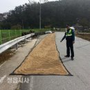 칠보파출소 이미지