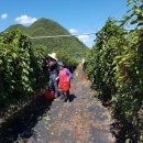 청기면사무소 이미지