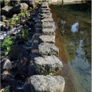 걸매생태공원 이미지