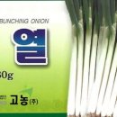 한농종묘사 이미지