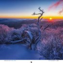 2026年 檀紀 4359年 丙午年 국립공원 공단 카렌다 입니다 이미지