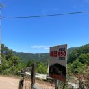 민둥산 850 전망대 이미지