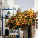 카페스크린 이미지