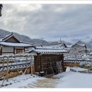 단양 마중 이미지