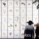 민간약초생활한방 이미지