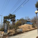 솔잎향 | [아이와 함께하는 캠핑이야기] 설 연휴 시흥 솔잎향캠핑파크 5번째 캠핑 후기