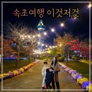 청초호유원지(중앙) | 속초여행 청초호유원지, 속초중앙시장 회, 주차권할인