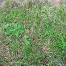 이안농장 이미지