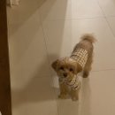 금산다락 네이버블로그