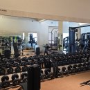 라이크 짐 | 암사동 헬스장 나만 알고 싶은 라이크짐 PT 후기