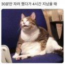 버거프라자 이미지