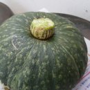 장수텃밭