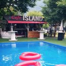 아일랜드코쿤 이미지