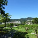 원주굽이길 20코스 다둔길 | 원주 오크 밸리 소나타 오브 라이트 숲길