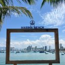 일등할인마트 | 나트랑 체크아웃투어 택시 시내투어 일정 시간 단독 후기 (롱선사 대성당 포나가르사원)