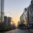 [ 역삼동 1년 거주 후기 ] 강남구 역사와 헤리티지 그리고 청년 복지 혜택과 생활 인프라 총정리