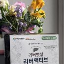 실리마린 밀크씨슬 차이 효능 햇살이네 간영양제 추천